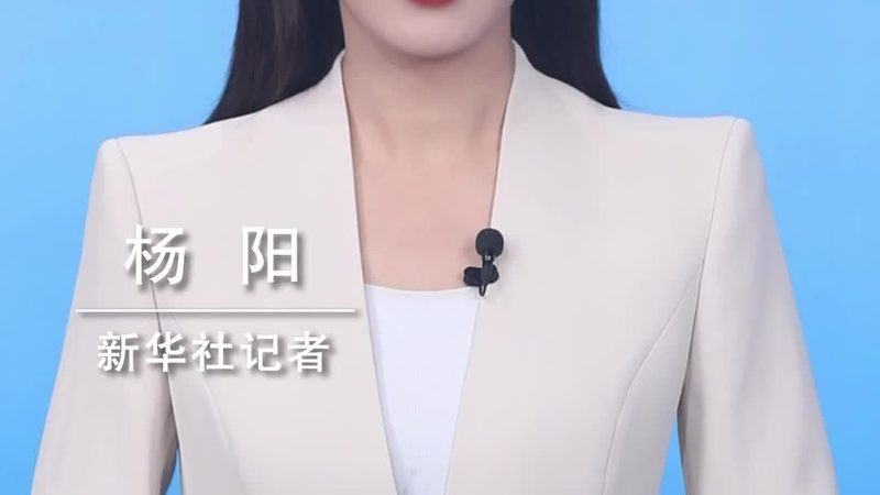 数据安全风险评估：揭秘企业如何筑牢数字防线